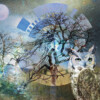 Owl Digital Print Close-up Image