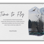 TIME TO FLY BLOG 3