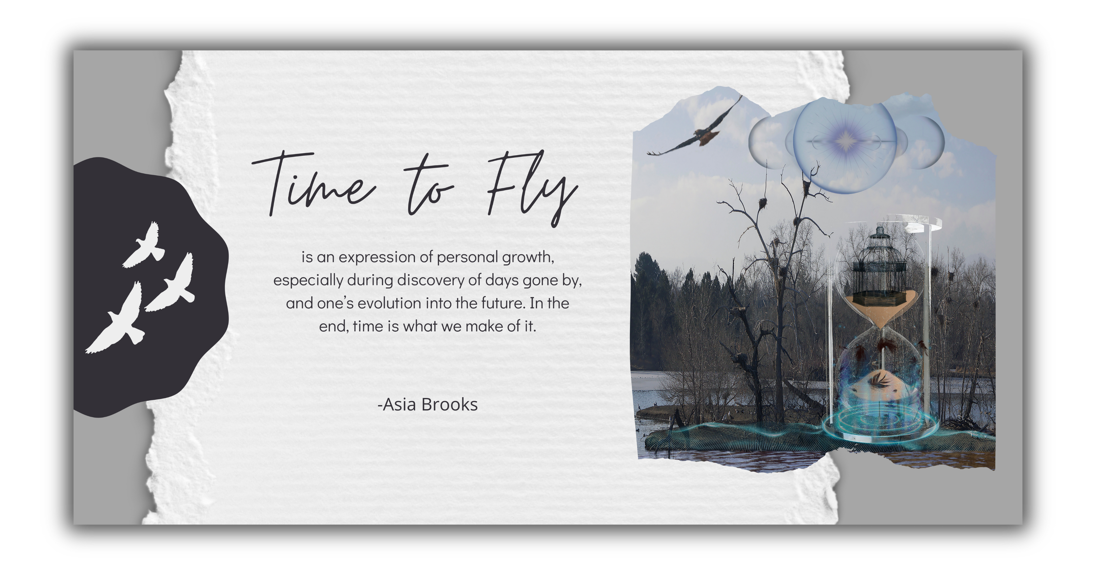 TIME TO FLY BLOG 3