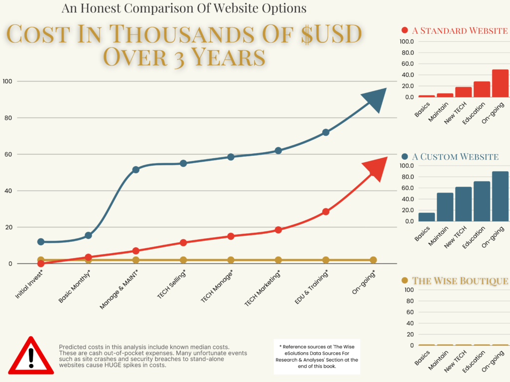 WEBSITE OPTION COST IN THOUSANDS OF USD