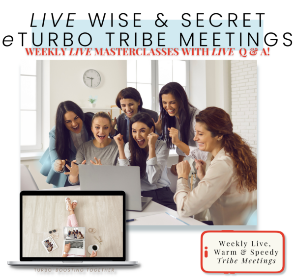 THE WISE ETURBO TRIBE MEETINGS