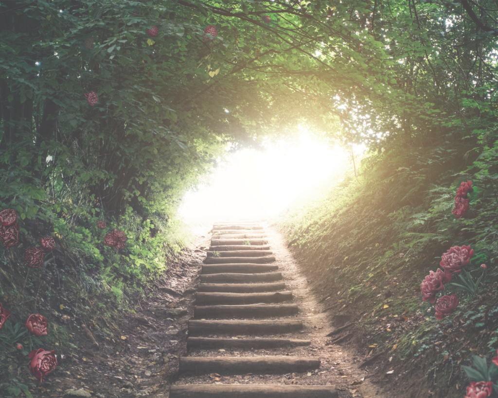 DISCOVER YOUR WAY new moving image home